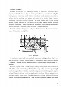 www.speros.lt